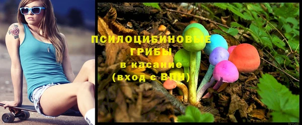 СК Липки