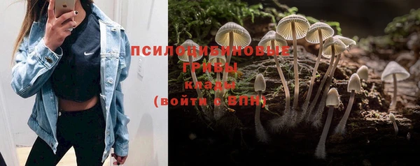 СК Липки